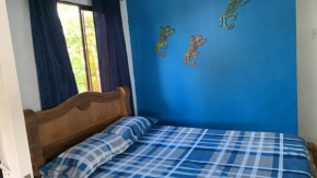 hostal kenny christopher shop